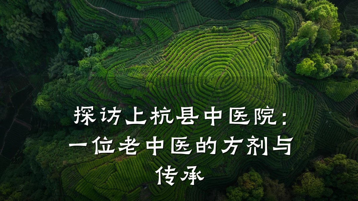探访上杭县中医院：一位老中医的方剂与传承