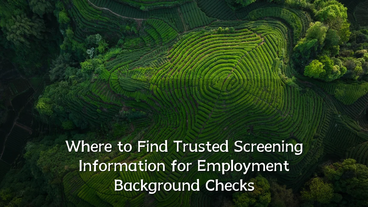 Where to Find Trusted Screening Information for Employment Background Checks