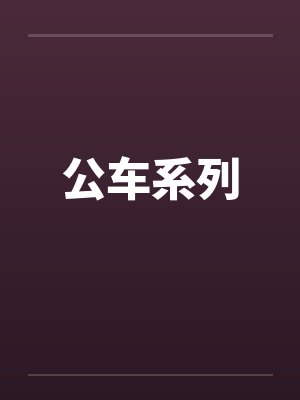 公车系列 公车系列