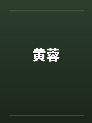 黄蓉 黄蓉