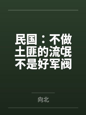 民国:不做土匪的流氓不是好军阀百度云笔趣阁 民国:不做土匪的流氓不是好军阀百度云笔趣阁
