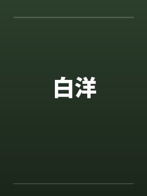 白洋 白洋