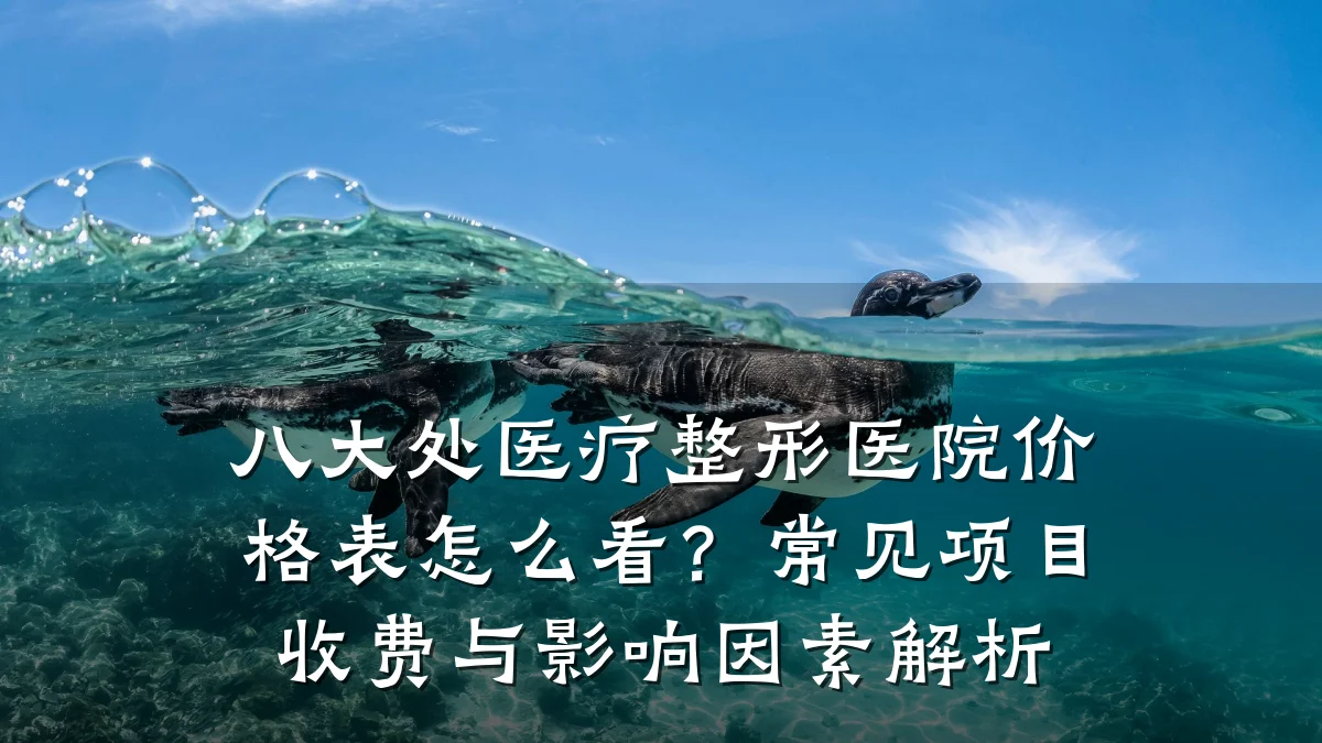 八大处医疗整形医院价格表怎么看？常见项目收费与影响因素解析