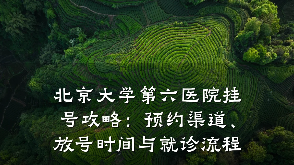 北京大学第六医院挂号攻略：预约渠道、放号时间与就诊流程