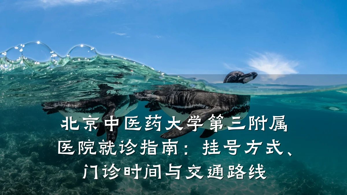 北京中医药大学第三附属医院就诊指南：挂号方式、门诊时间与交通路线