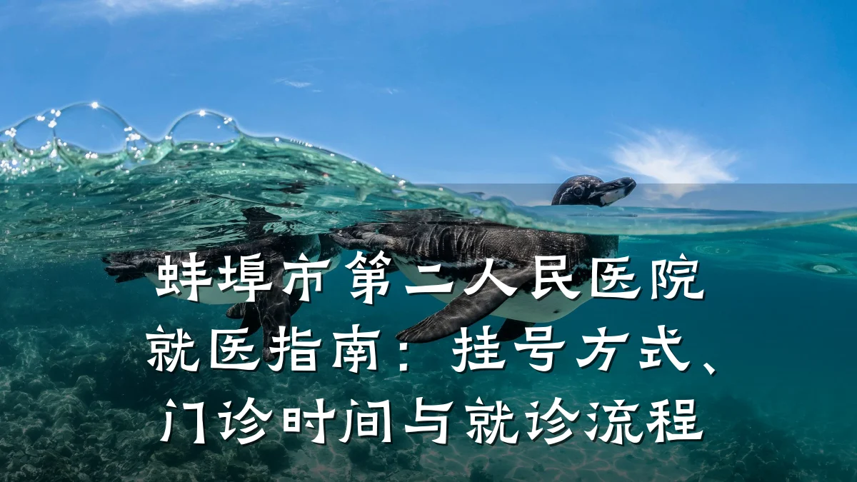 蚌埠市第二人民医院就医指南：挂号方式、门诊时间与就诊流程