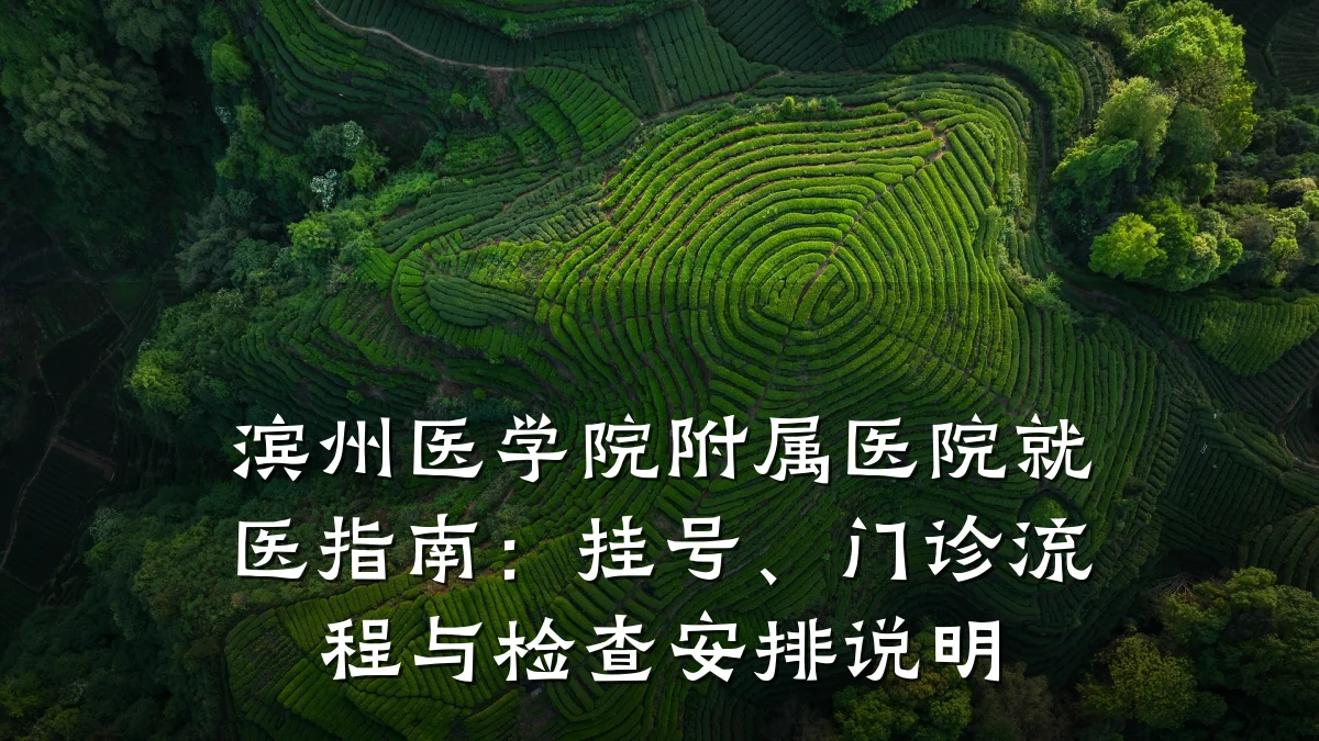 滨州医学院附属医院就医指南：挂号、门诊流程与检查安排说明