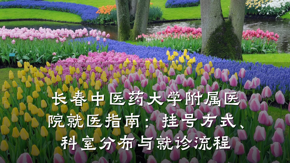 长春中医药大学附属医院就医指南:挂号方式、科室分布与就诊流程