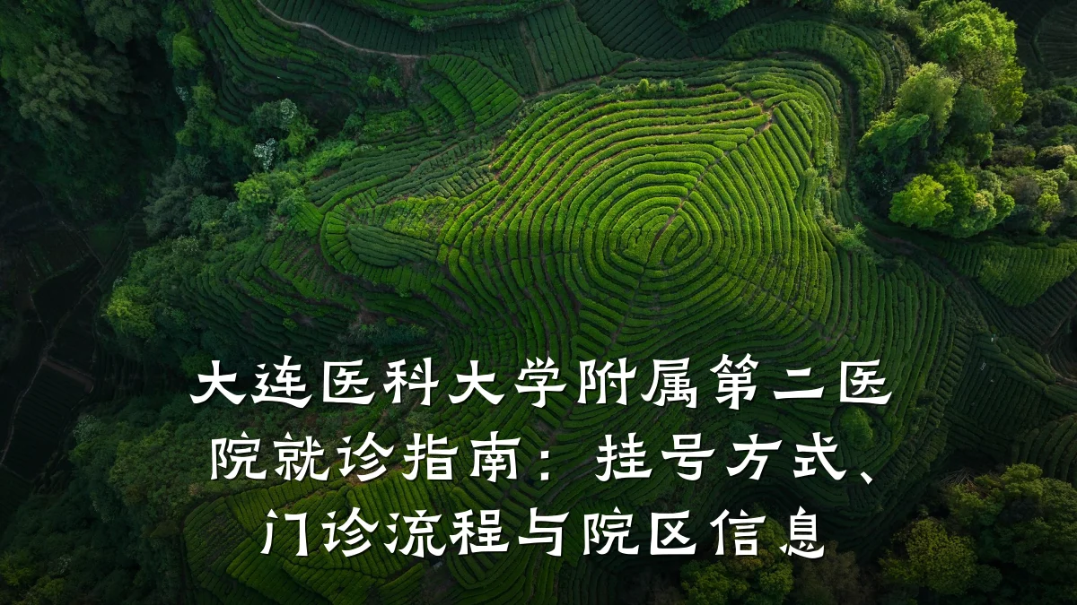 大连医科大学附属第二医院就诊指南：挂号方式、门诊流程与院区信息