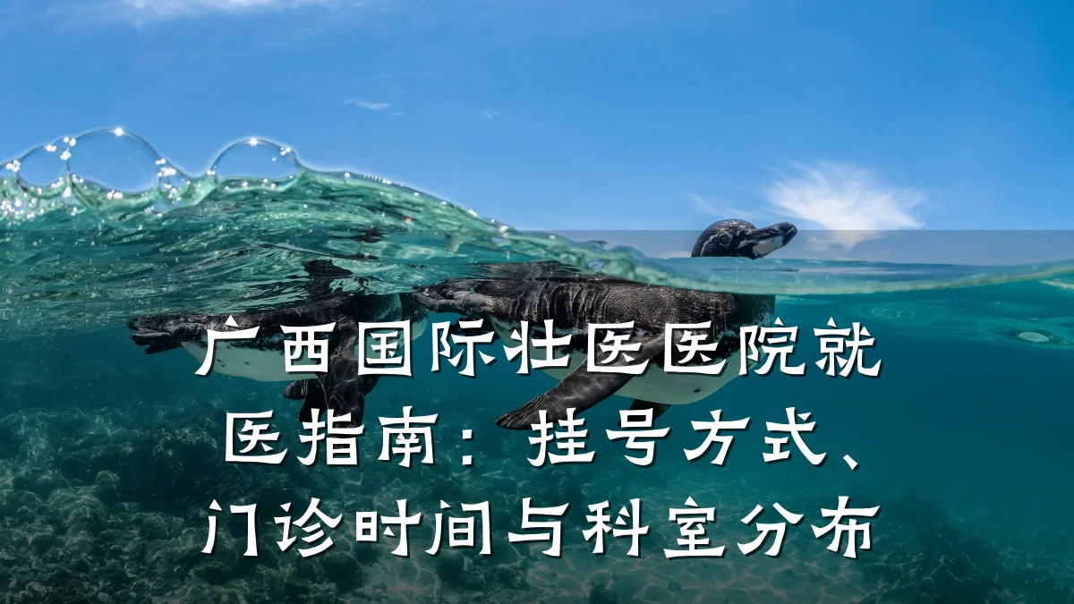 广西国际壮医医院就医指南：挂号方式、门诊时间与科室分布