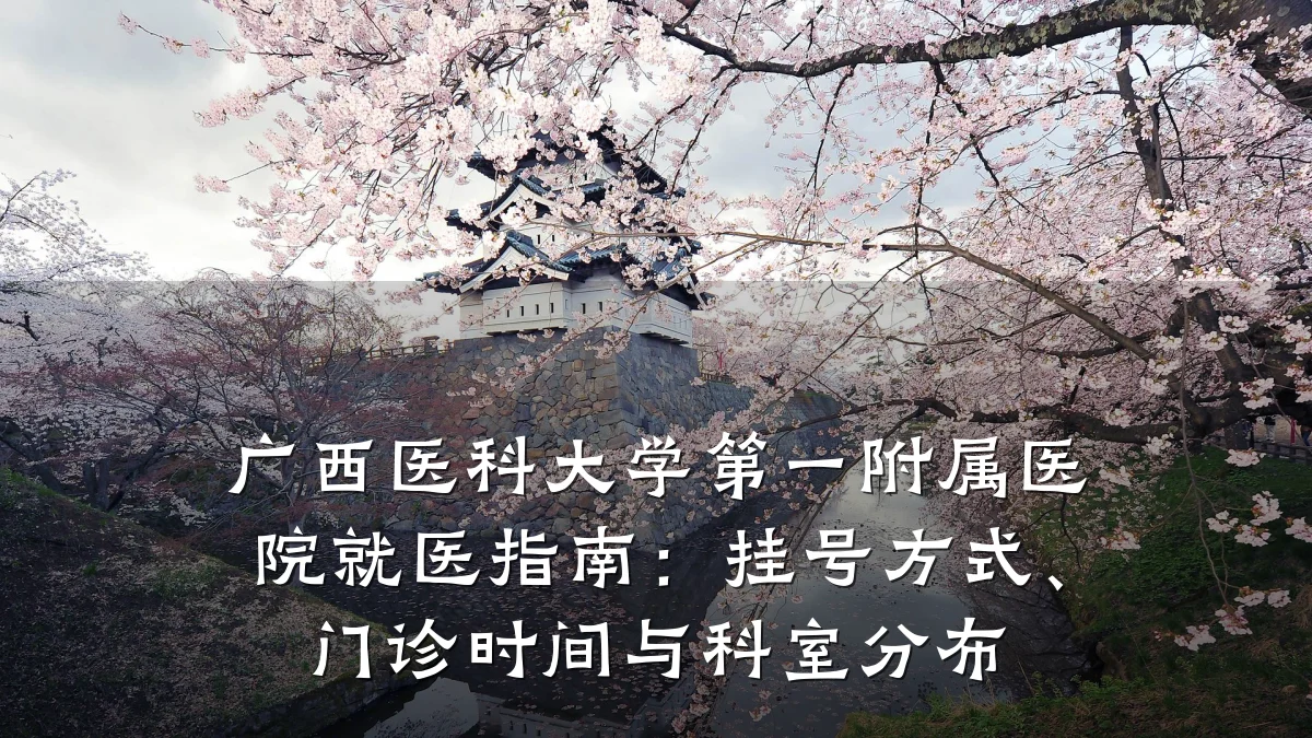 广西医科大学第一附属医院就医指南：挂号方式、门诊时间与科室分布