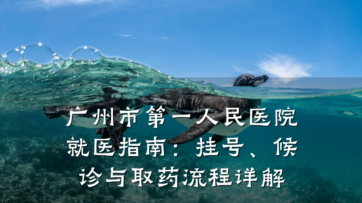 广州市第一人民医院就医指南：挂号、候诊与取药流程详解