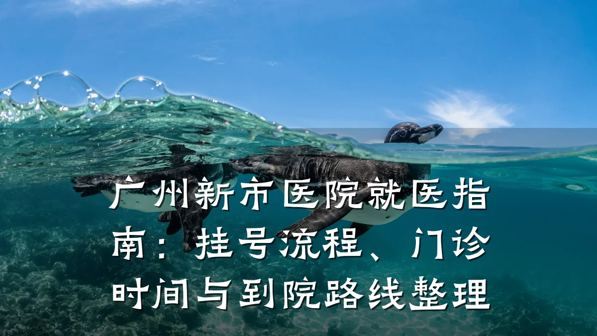 广州新市医院就医指南：挂号流程、门诊时间与到院路线整理