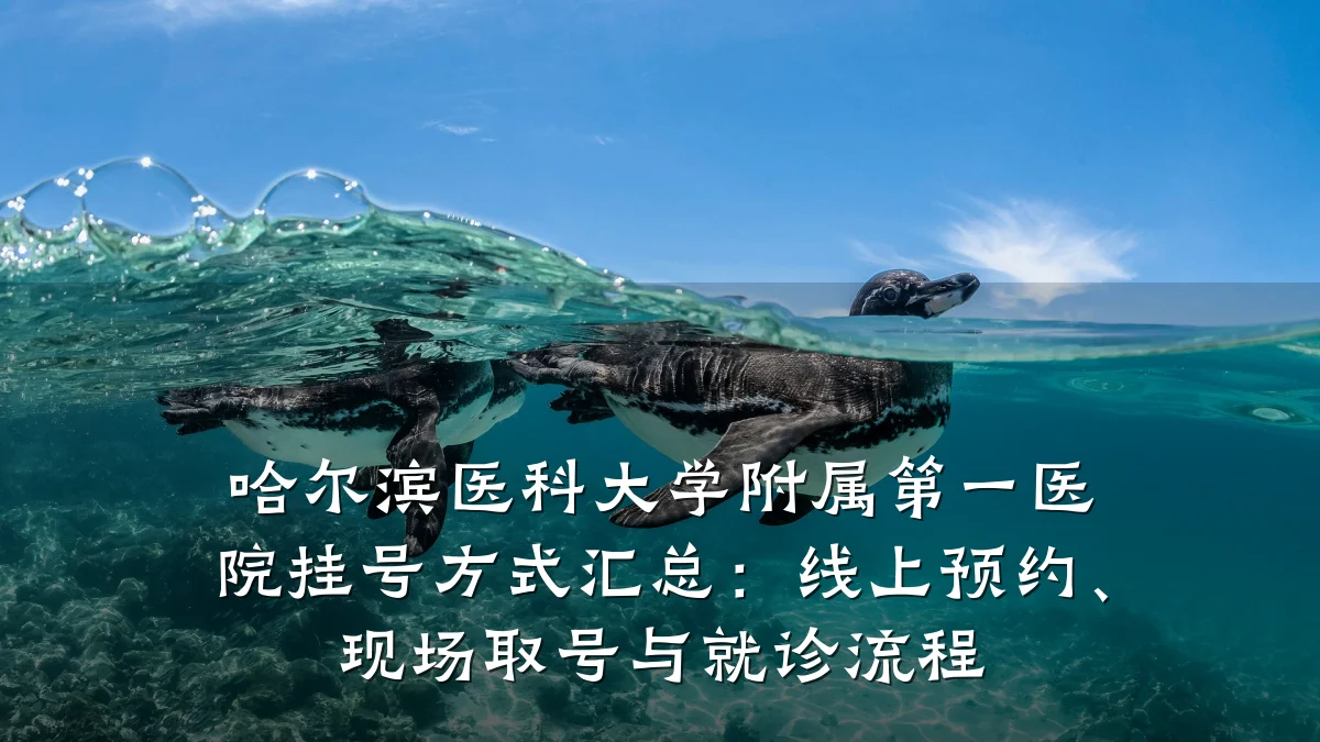 哈尔滨医科大学附属第一医院挂号方式汇总：线上预约、现场取号与就诊流程