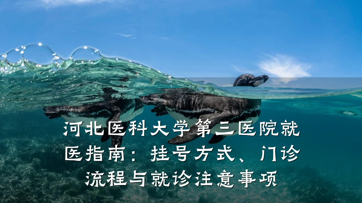 河北医科大学第三医院就医指南：挂号方式、门诊流程与就诊注意事项
