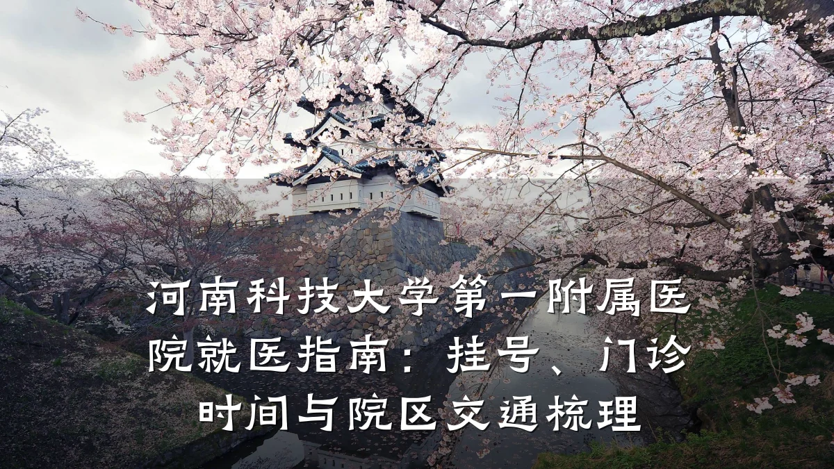 河南科技大学第一附属医院就医指南：挂号、门诊时间与院区交通梳理