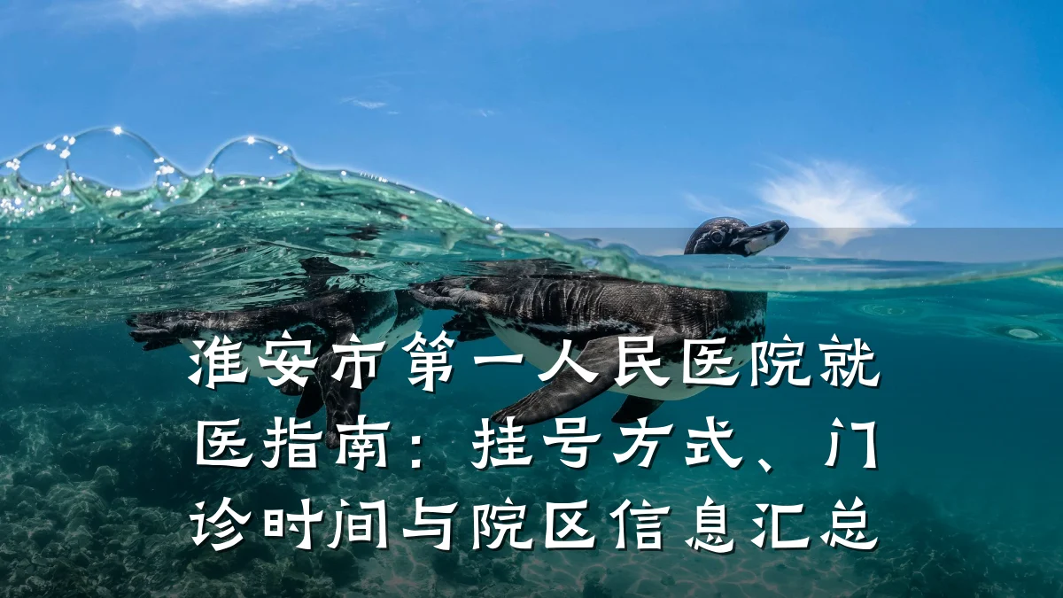 淮安市第一人民医院就医指南：挂号方式、门诊时间与院区信息汇总