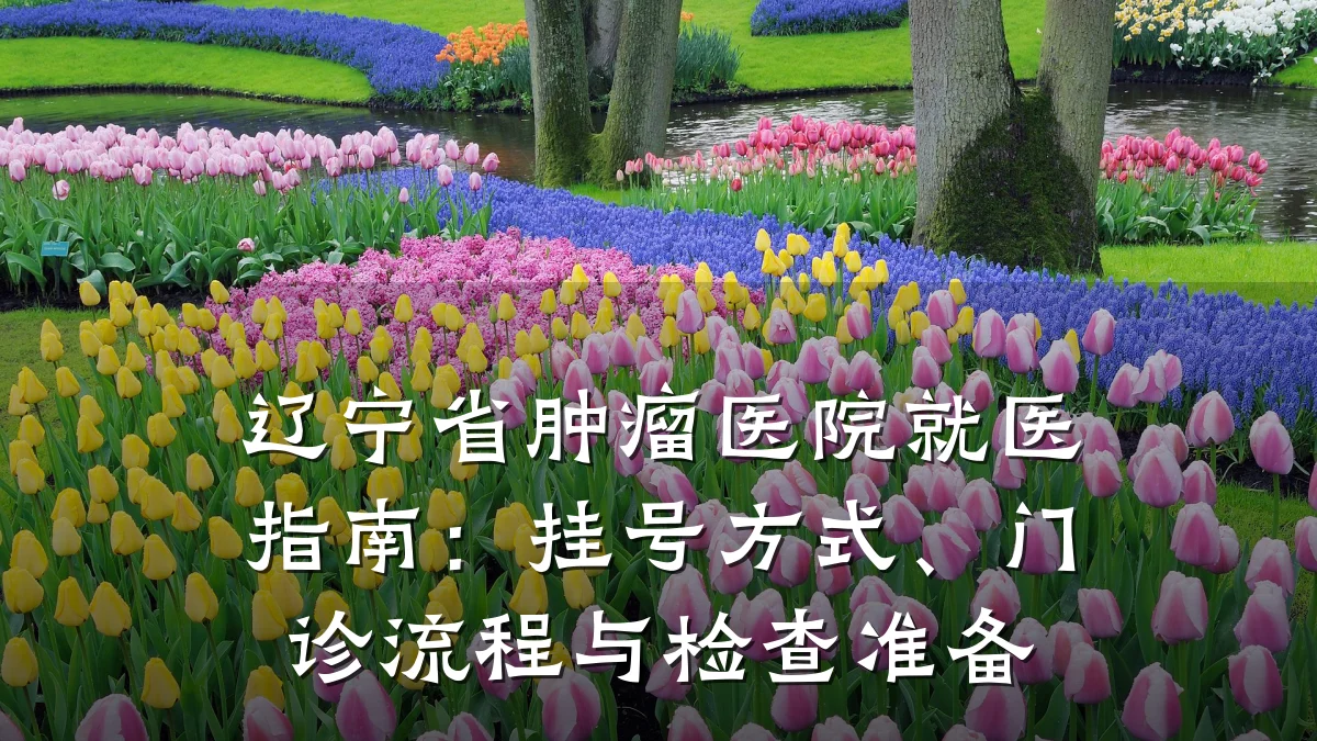辽宁省肿瘤医院就医指南：挂号方式、门诊流程与检查准备