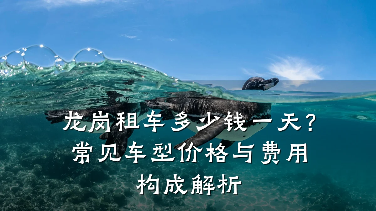 龙岗租车多少钱一天?常见车型价格与费用构成解析
