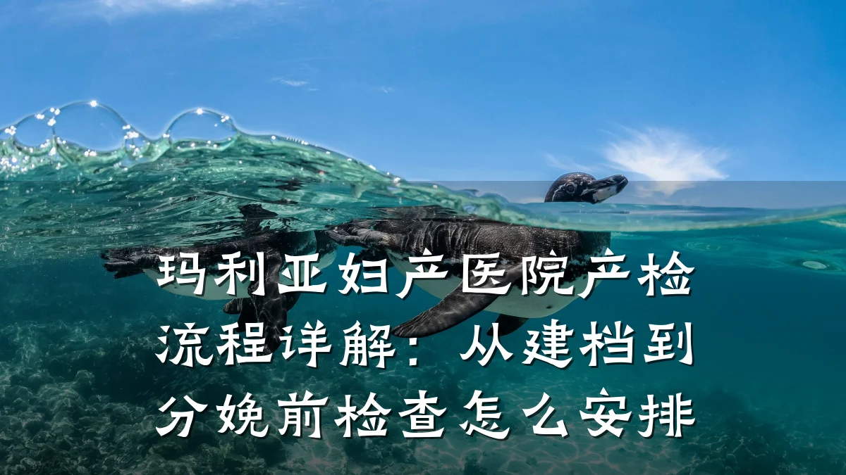 玛利亚妇产医院产检流程详解：从建档到分娩前检查怎么安排