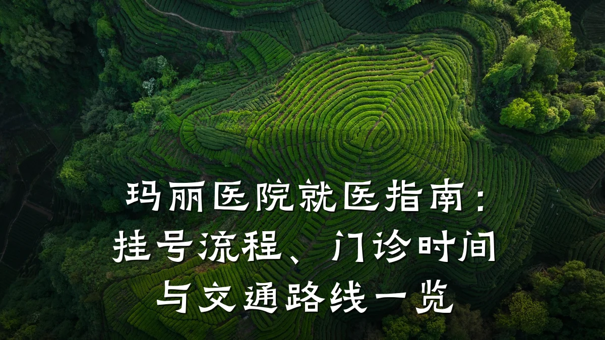 玛丽医院就医指南:挂号流程、门诊时间与交通路线一览