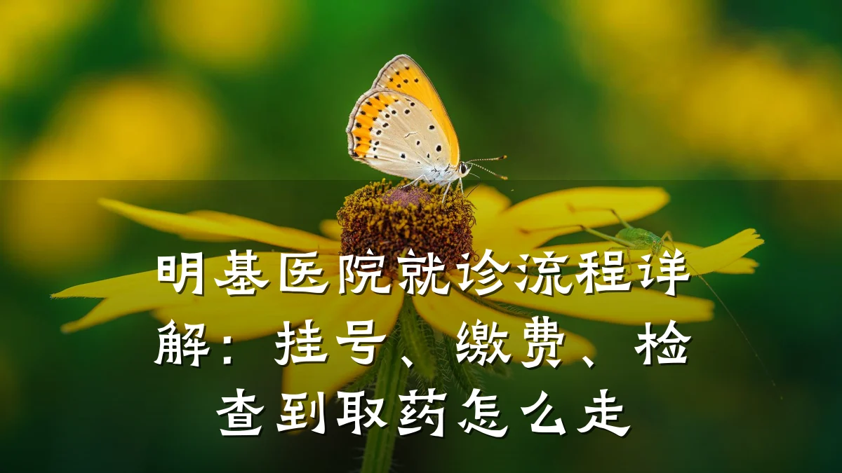 明基医院就诊流程详解：挂号、缴费、检查到取药怎么走