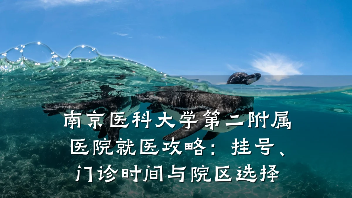 南京医科大学第二附属医院就医攻略：挂号、门诊时间与院区选择