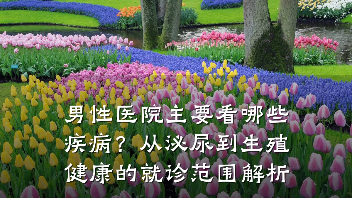 男性医院主要看哪些疾病?从泌尿到生殖健康的就诊范围解析