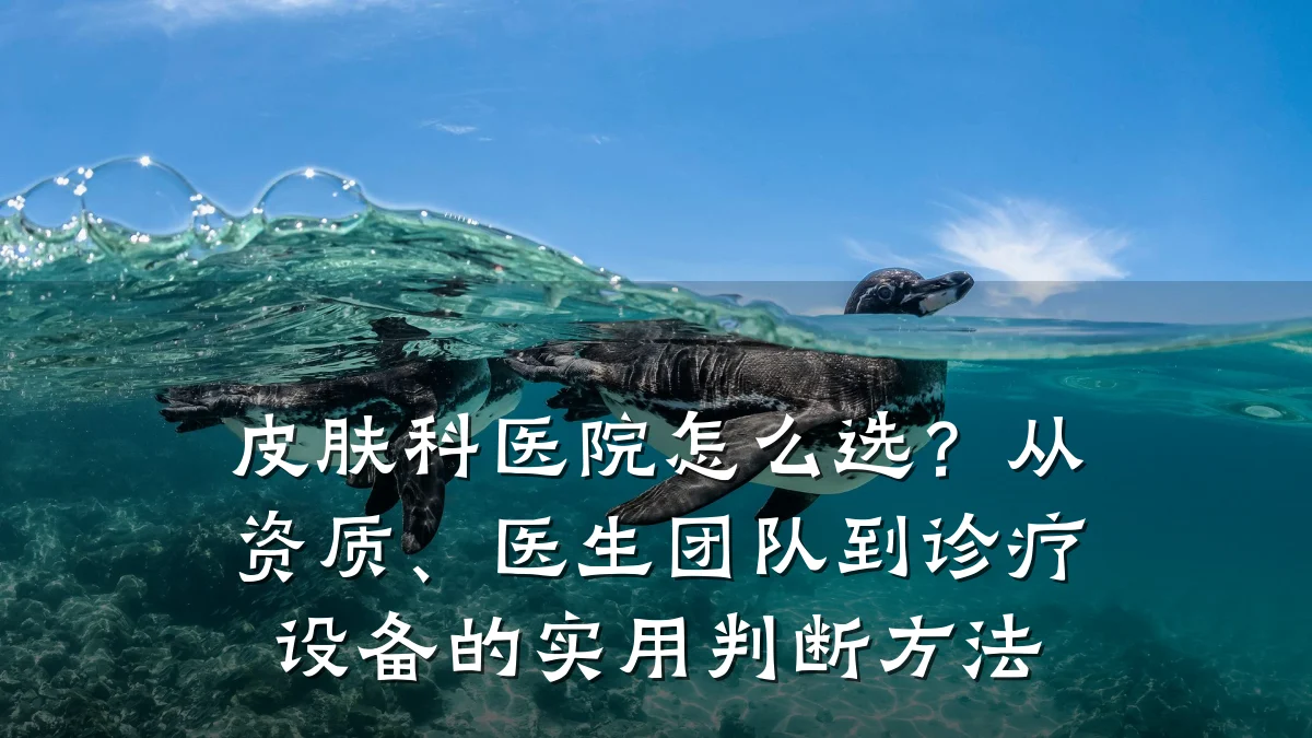 皮肤科医院怎么选？从资质、医生团队到诊疗设备的实用判断方法