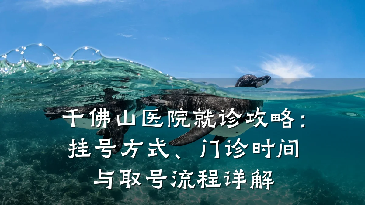 千佛山医院就诊攻略：挂号方式、门诊时间与取号流程详解