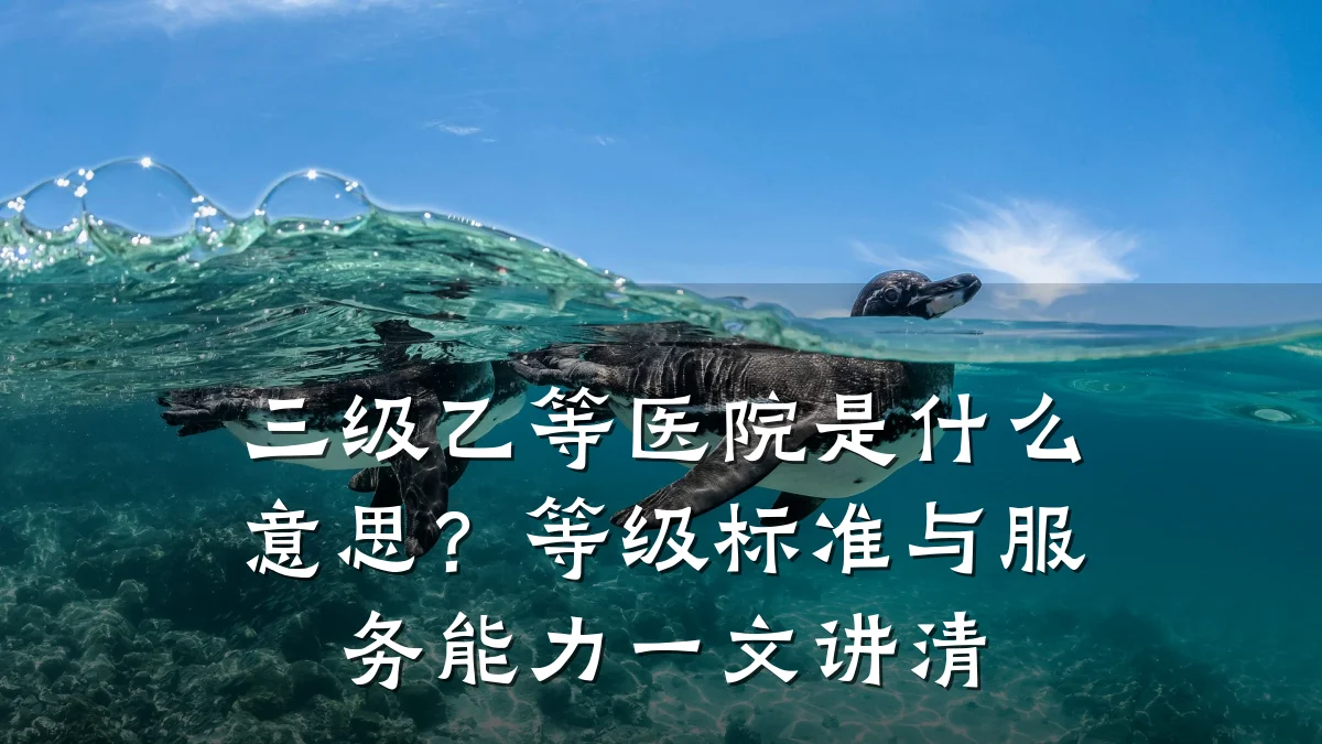三级乙等医院是什么意思？等级标准与服务能力一文讲清