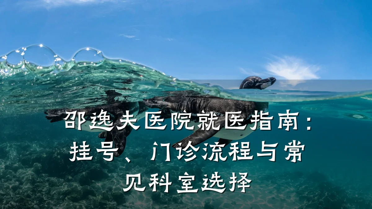 邵逸夫医院就医指南:挂号、门诊流程与常见科室选择