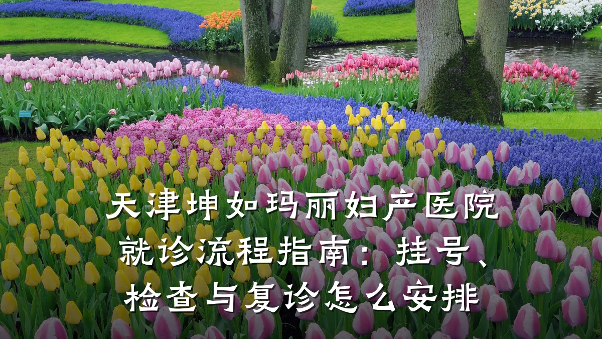 天津坤如玛丽妇产医院就诊流程指南：挂号、检查与复诊怎么安排