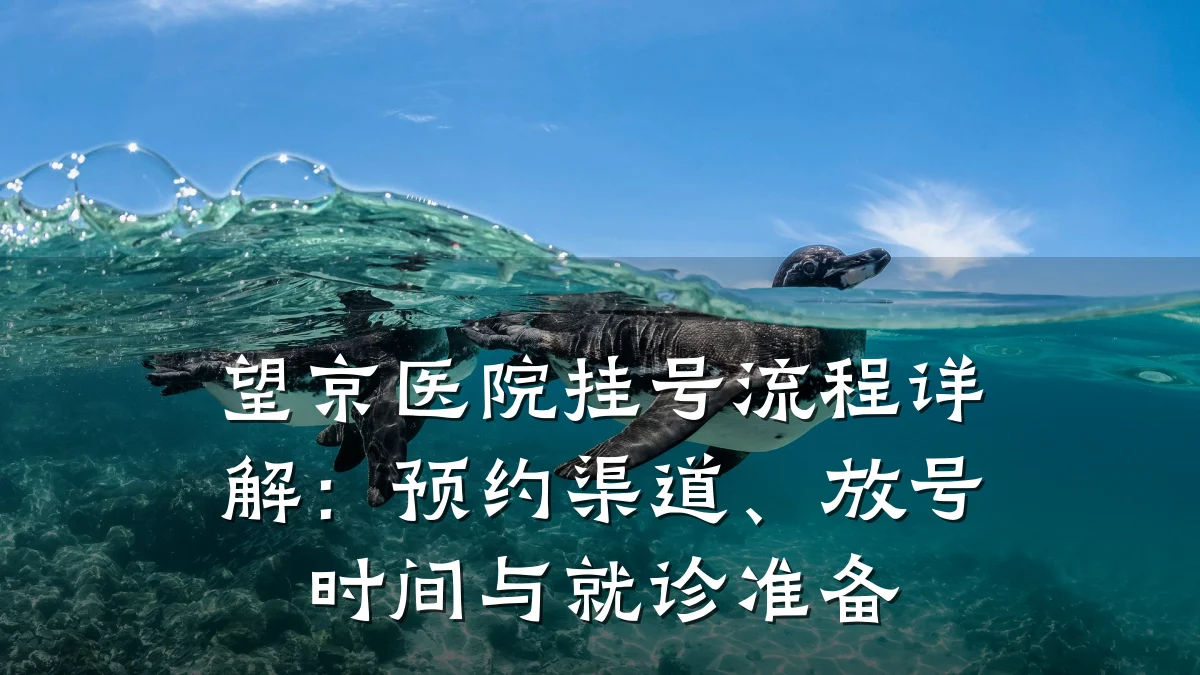 望京医院挂号流程详解：预约渠道、放号时间与就诊准备