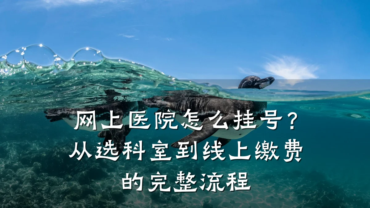 网上医院怎么挂号?从选科室到线上缴费的完整流程