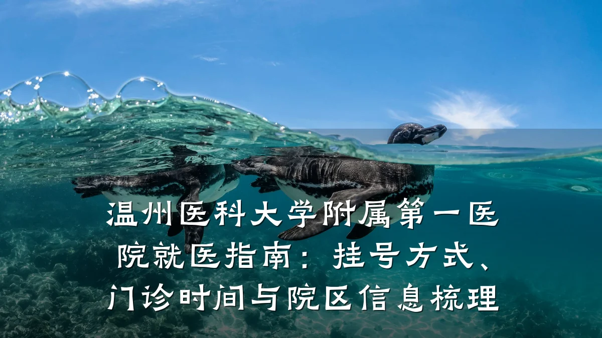 温州医科大学附属第一医院就医指南：挂号方式、门诊时间与院区信息梳理
