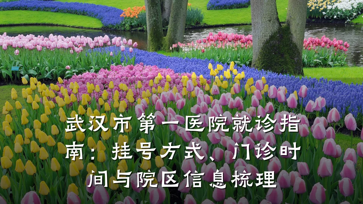武汉市第一医院就诊指南：挂号方式、门诊时间与院区信息梳理