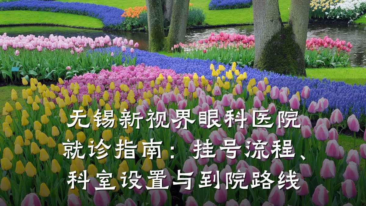 无锡新视界眼科医院就诊指南:挂号流程、科室设置与到院路线