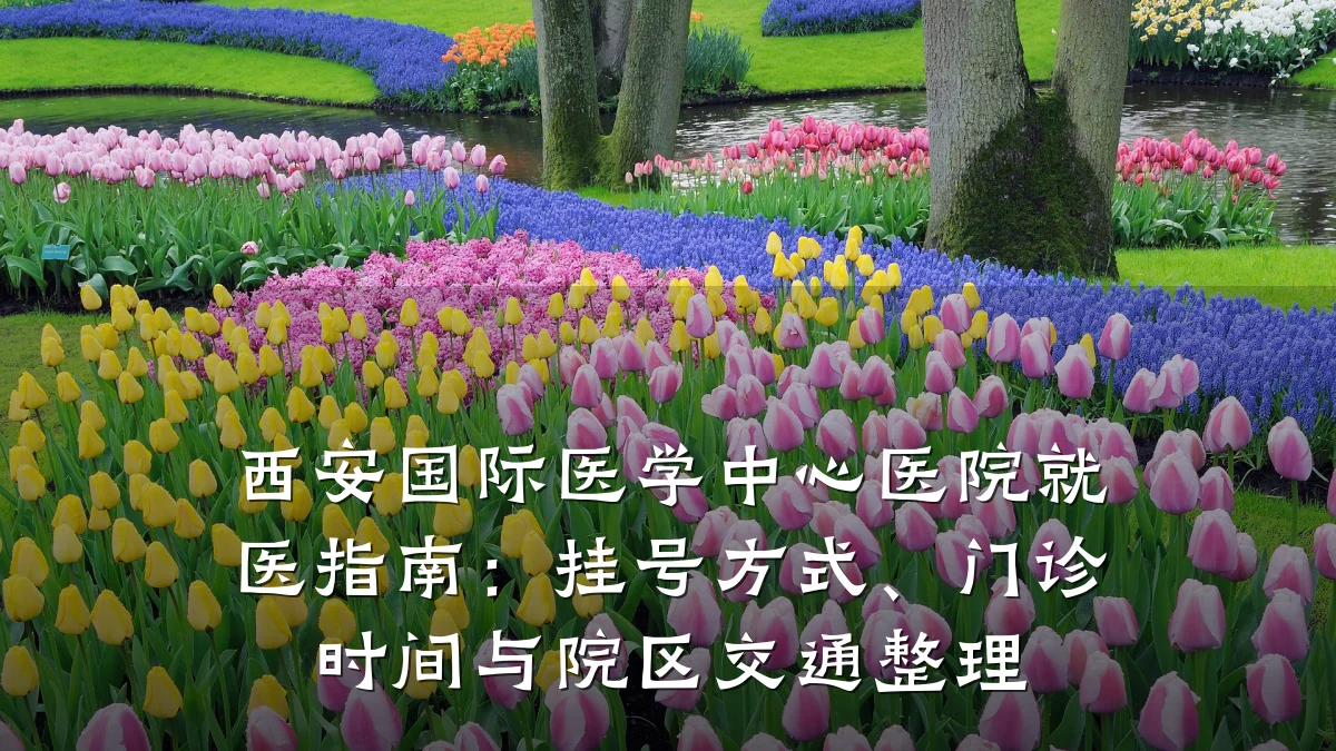 西安国际医学中心医院就医指南：挂号方式、门诊时间与院区交通整理
