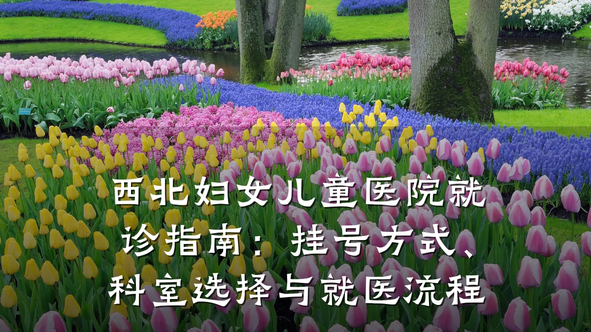 西北妇女儿童医院就诊指南：挂号方式、科室选择与就医流程