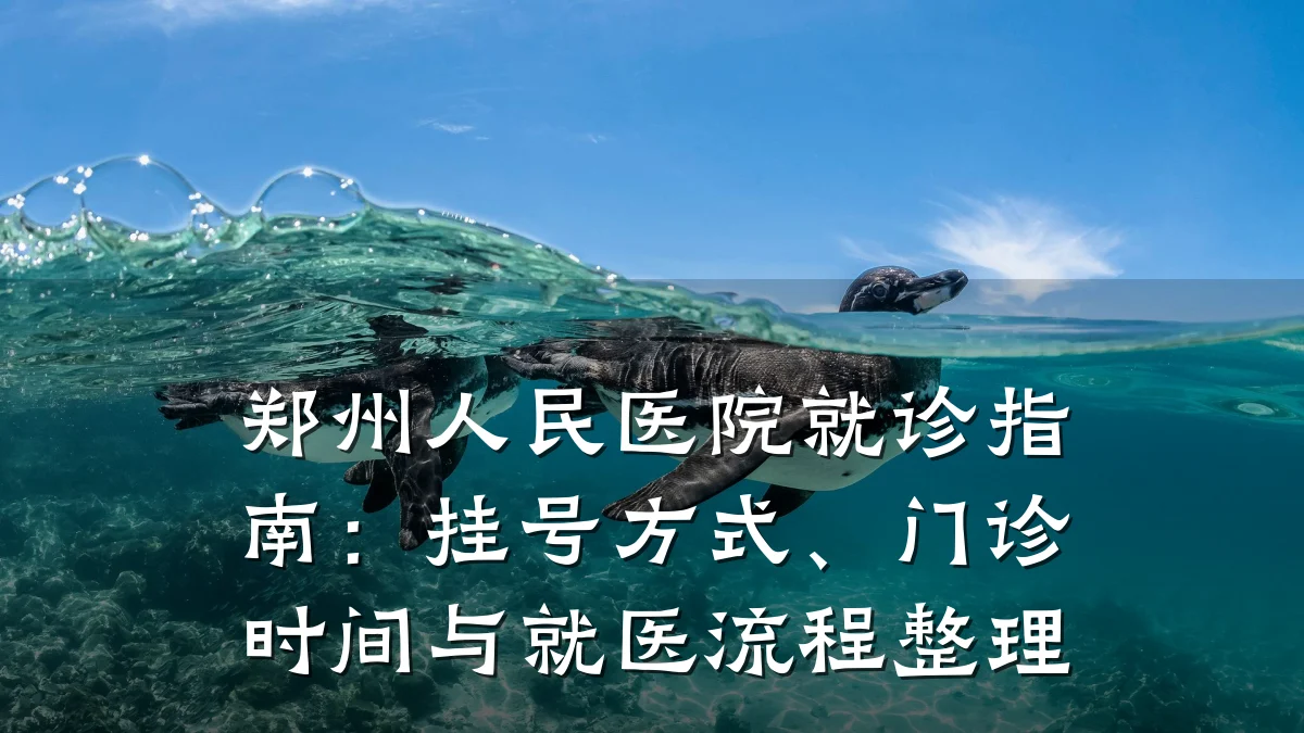 郑州人民医院就诊指南：挂号方式、门诊时间与就医流程整理