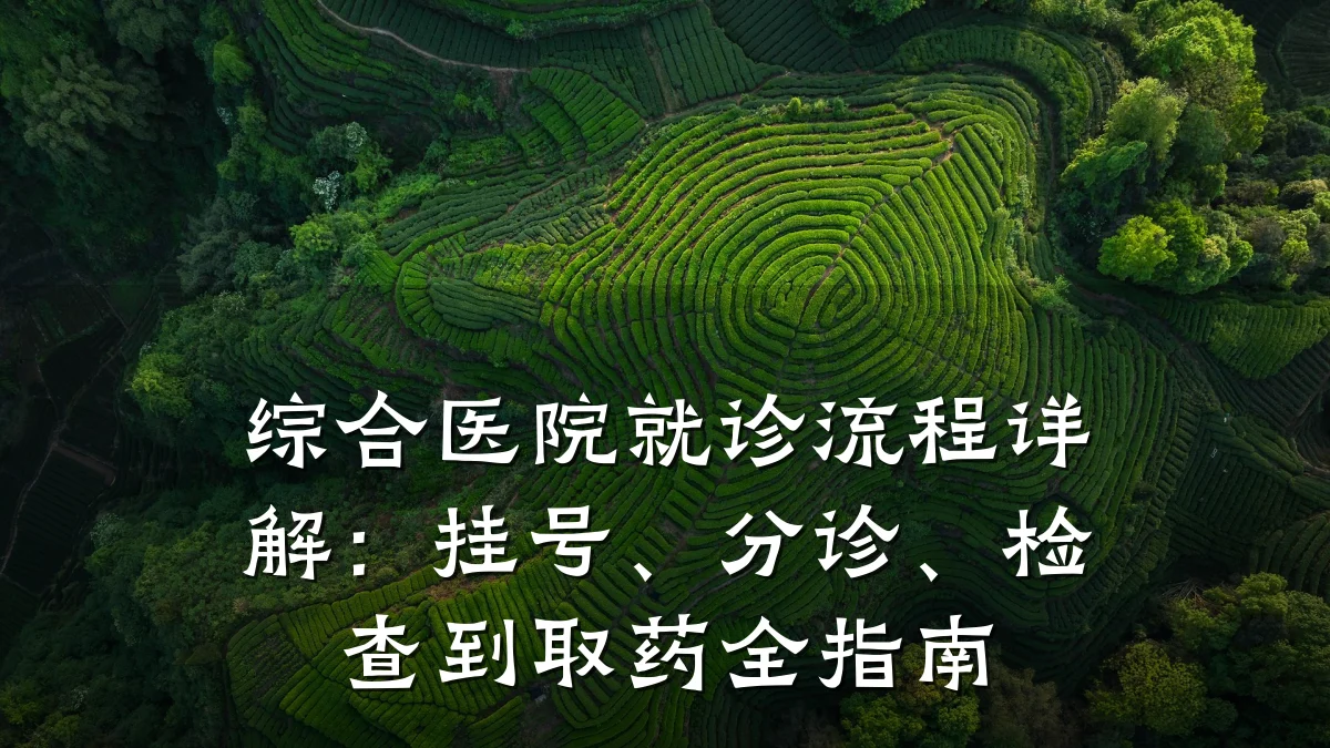 综合医院就诊流程详解：挂号、分诊、检查到取药全指南