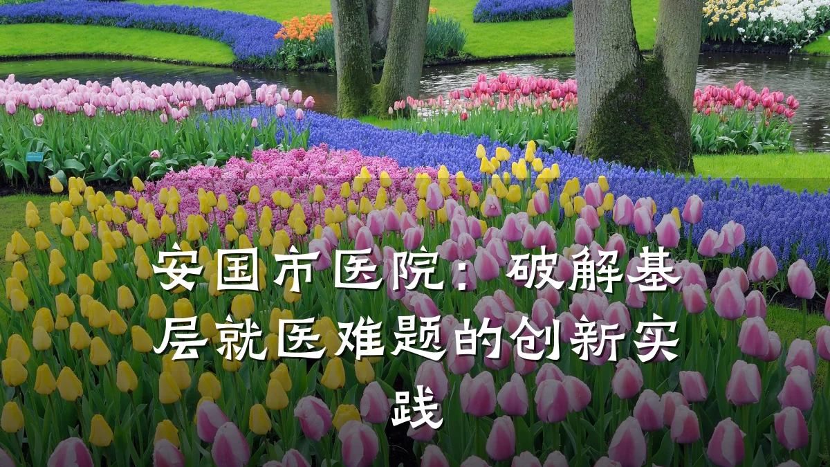 安国市医院：破解基层就医难题的创新实践