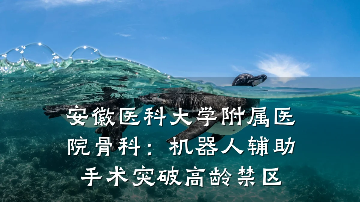 安徽医科大学附属医院骨科：机器人辅助手术突破高龄禁区