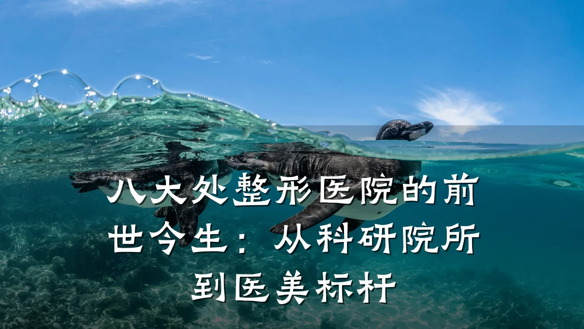 八大处整形医院的前世今生：从科研院所到医美标杆