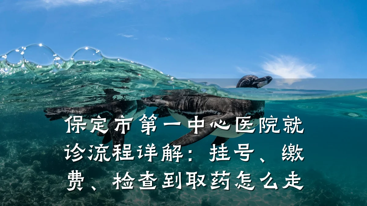 保定市第一中心医院就诊流程详解：挂号、缴费、检查到取药怎么走