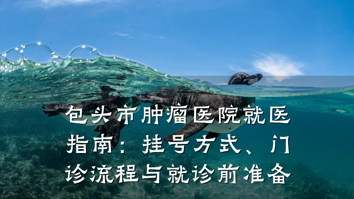 包头市肿瘤医院就医指南：挂号方式、门诊流程与就诊前准备