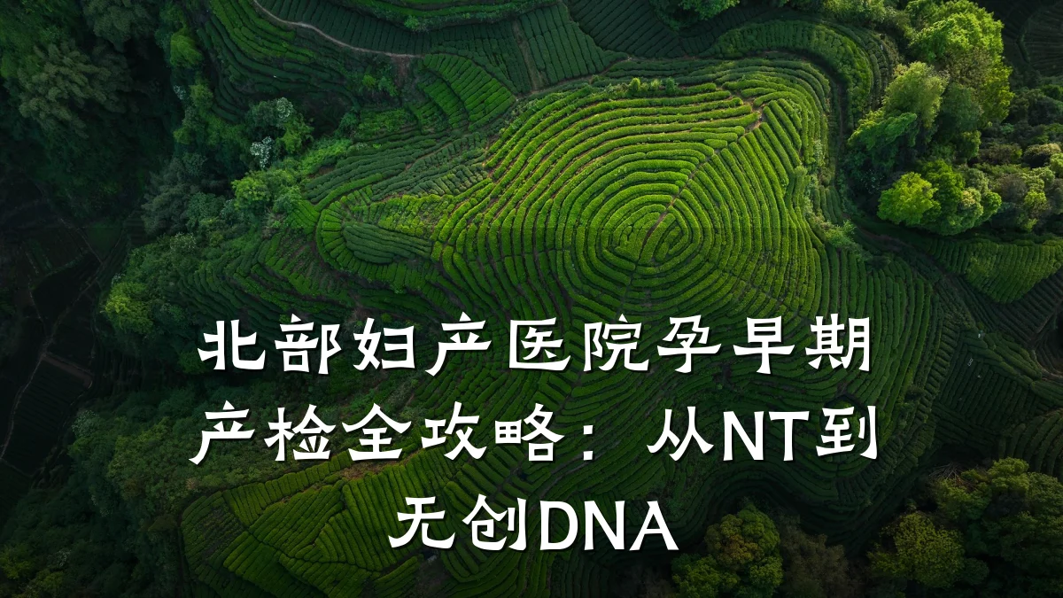 北部妇产医院孕早期产检全攻略：从NT到无创DNA