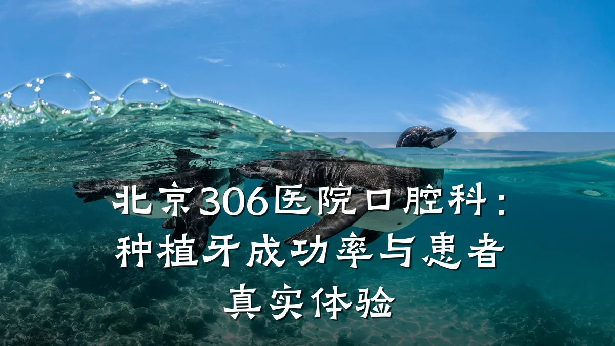 北京306医院口腔科：种植牙成功率与患者真实体验