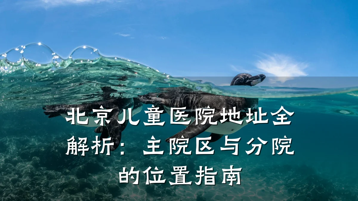北京儿童医院地址全解析：主院区与分院的位置指南